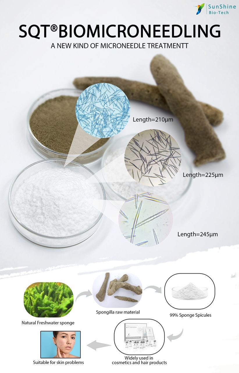 Illustrated process from freshwater sponge source to refined professional Spongilla spicules